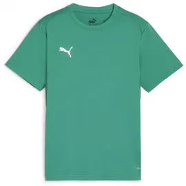 Puma teamGOAL Trikot Kids