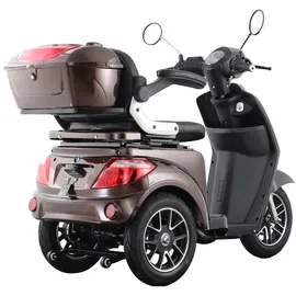 aktiv mobil E-Trike Pro Braun