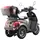 aktiv mobil E-Trike Pro Braun