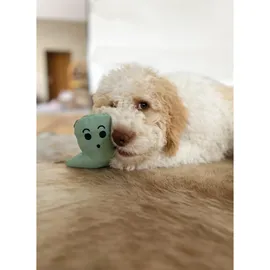 Aumüller Hundespielzeug Geist mint