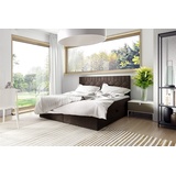 Fun Möbel Boxspringbett Schlafzimmerbett 180x220cm LAZARO Nr.5 Braun inkl. Bettkasten - Braun