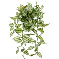 I.GE.A. Kunstpflanze »Tradescantiahänger«, Mit Übertopf Kunstpflanze Hängepflanze Pflanzenampel Kletterpflanze, 49301764-0 grün,rot B/H/L: 26 cm x 42 cm x 22 cm