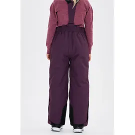 ZigZag Provo Skihose Lila 98