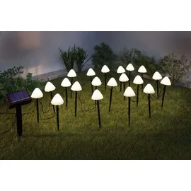 FHS International FHS 35697 LED Solar Lichterkette Pilze 3,8m 20 LED warmweiß Gartenstecker Lichtsensor - Weiß