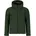 Superior Kale Green S