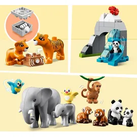 LEGO Duplo Wilde Tiere Asiens 10974