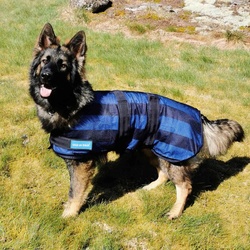 Cool on Track Cooling Dog Coat, 30