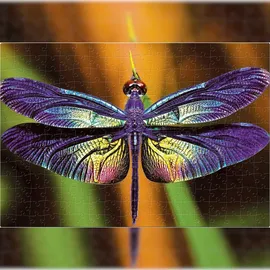 Interdruk Puzzle 250 Teile Bunte Natur 3 Libelle