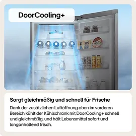 LG GBV5240CPY Kühl-Gefrierkombination (387 l, 2030 mm hoch, Silber)