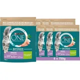 Purina ONE BIFENSIS Sensitive Reich an Truthahn und Reis 6 x 750 g