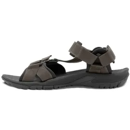 Jack Wolfskin Lakewood Ride Herren cold coffee 44,5