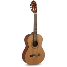 Manuel Rodriguez Tradicion T-62 7/8-Gitarre