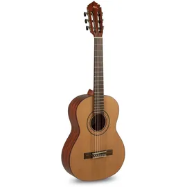 Manuel Rodriguez Tradicion T-62 7/8-Gitarre
