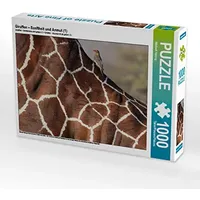 Calvendo Giraffen – Sanftheit und Anmut (1) 1000 Teile