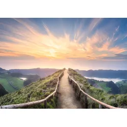 Bild WIDE VIEW - bunt
