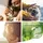 görges naturpharma gmbh Grünlippmuschel Extrakt 100g