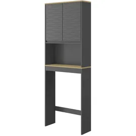Vicco Toilettenschrank, Anthrazit, Holzwerkstoff, 3 Fächer, Rechteckig, 60x163x20 cm,