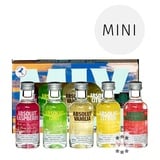 Absolut Five Mini-Set