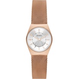 Skagen Grenen LILLE SKW3035