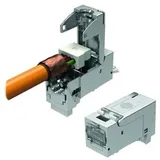 EasyLan FixLink SL RJ45-S KS Kat6A ISO/IEC AWG24-22 Keystone Modul 24 Stück silber