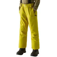 Dare 2b Dare2b Outmove Ii Hosen - Gold Flake