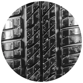 Sava 195/65 R15 95T Perfecta XL