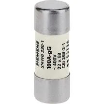 Siemens 3NW62071 Zylindersicherungseinsatz 10St.