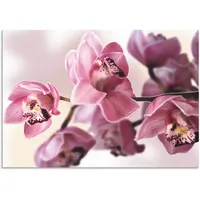 ARTland Wandbild »Rosa Orchidee«, Blumenbilder, (1 St.), als Alubild,