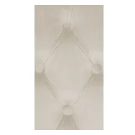 CLP 2er Set Esszimmerstühle Lisburn creme/Samt