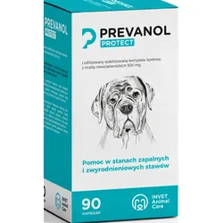 PREVANOL Protect 90 Tabletten zur Unterstützung der Gelenke