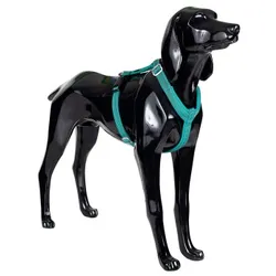 Paikka Easy Harness emerald grün/ türkis M