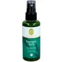 Energiekick Raumspray bio