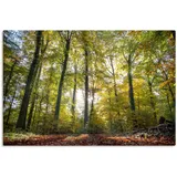 ARTland Leinwandbild »Laubwald zum Herbst«, Waldbilder, (1 St.), auf Keilrahmen gespannt