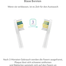 TrueLife SonicBrush Compact Duo schwarz/weiß + 2. Handstück + Reiseetui