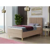 Sofnet Boxspringbett Gold Mini mit Bettkasten, Bonell-Matratze und Topper - Einzelbett mit Matratzentopper, Polsterbett, Bett, Schlafzimmer, Jugendzimmer, ... - Beige