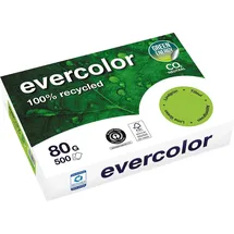 Clairefontaine Evercolor A4 80 g/m2 500 Blatt