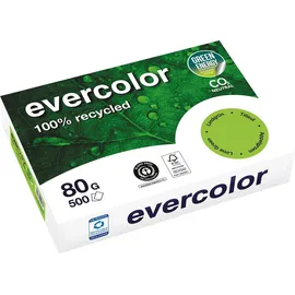 Clairefontaine Evercolor A4 80 g/m2 500 Blatt