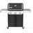 Weber Genesis Gasgrill