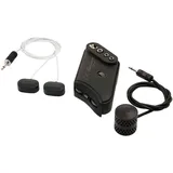 Lr Baggs HiFi-Duett
