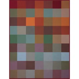 Biederlack Colour-Woven Kuscheldecke 150 x 200 cm Mehrfarbig