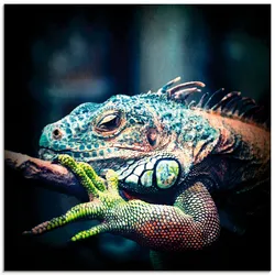 Artland Glasbild »Leguan«, Reptilien, (1 St.), in verschiedenen Größen Artland blau