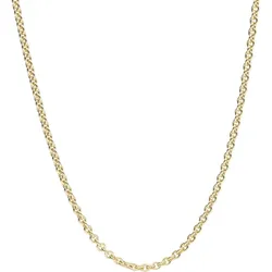 Luigi Merano Kette Ankerkette, massiv, Gold 585 Ketten   Gold Damen 