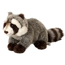 nature de brenne, francja Waschbär