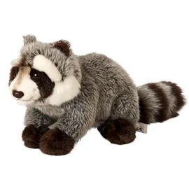 nature de brenne, francja Waschbär