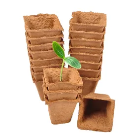 Floraworld Anzuchttöpfe 6 x 6 cm 20 Stück