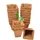 Floraworld Anzuchttöpfe 6 x 6 cm 20 Stück