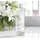Avon Senses White Lily Duschcreme 250 ml