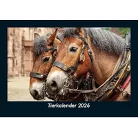 Vero Kalender Tierkalender 2026 Fotokalender DIN A5 von Tobias