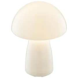 Lightbox LED Akku Pilzleuchte, 22 x 16 cm, 250 lm, 2700 K, dimmbar, Glas, weiß - Weiß