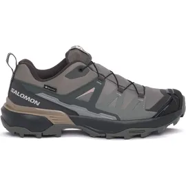 Salomon X Ultra 360 GTX Damen Sedona Sage/Urban Chic/Etherea 40